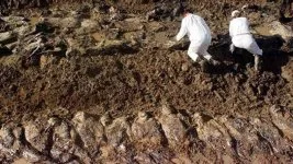 Bulunan cesetler buz dağının görünen kısmı