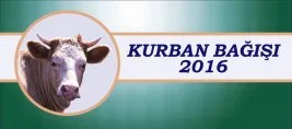 Suffe İslam okulu talebeleri için kurban bağışı