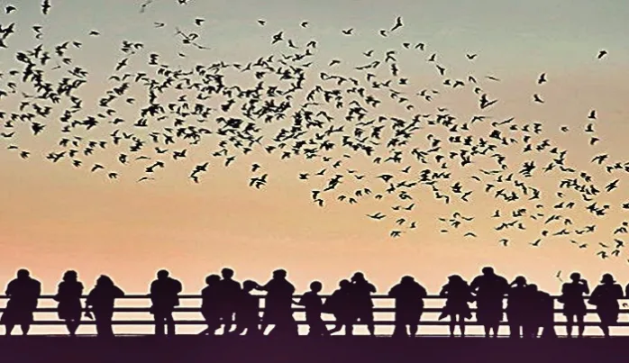 Çoklukla övünmek câhiliye toplumunun özelliğidir