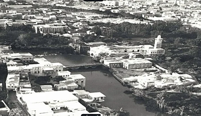Suriye Baas diktasının 1982'deki vahşeti: Hama katliamı