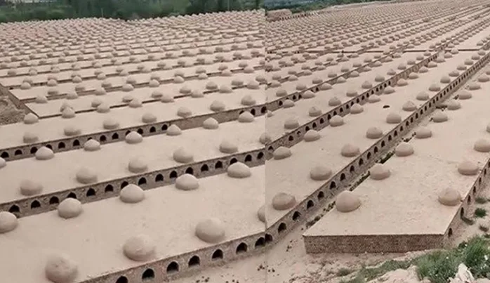 Çin zulmü ‘ölülere’ uzandı