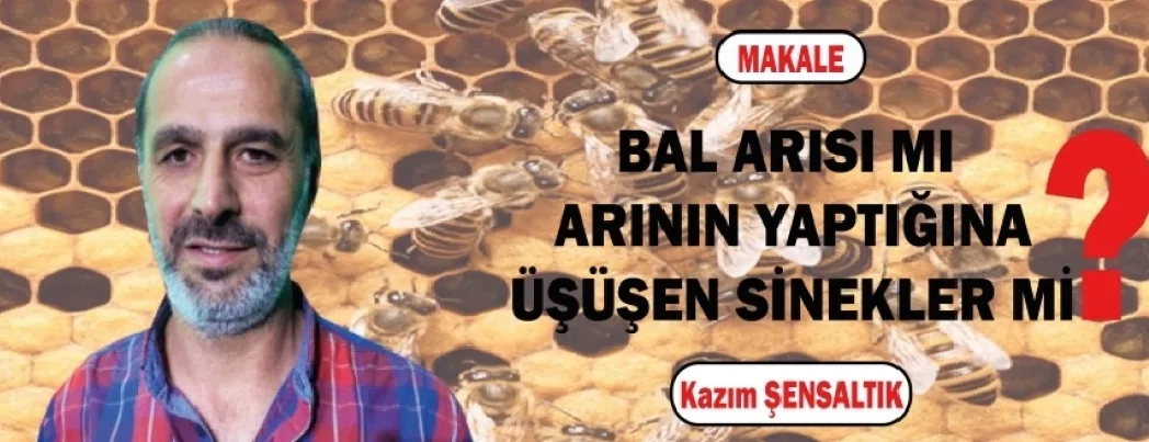 Bal arısı mı, bala üşüşen sinekler mi?