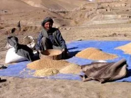 İşgal altındaki Afganistan açlığın pençesinde