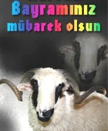 Bayramımız mübarek, Kurbanımız makbul olsun