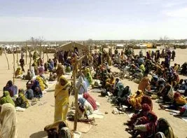 Sudan, Darfur’u Müslüman gözlemcilere açmalı