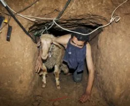 Mısır Firavunu iyice azıttı