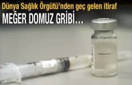 “Domuz gribi”nde Dünya Sağlık Örgütü de çark etti