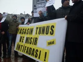 Tokat’tan Tunus ve Mısır intifadasıyla dayanışma eylemi