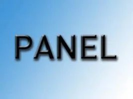 Panele Dâvet: Anayasa Arayışları ve Müslümanlar