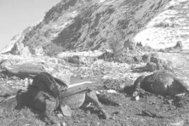 17 yıl önce de Şırnak’ta aynı zulüm vardı