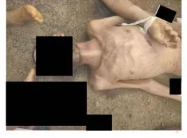 Suriyeli Mülteciler: Fotoğraflardan fazlası var