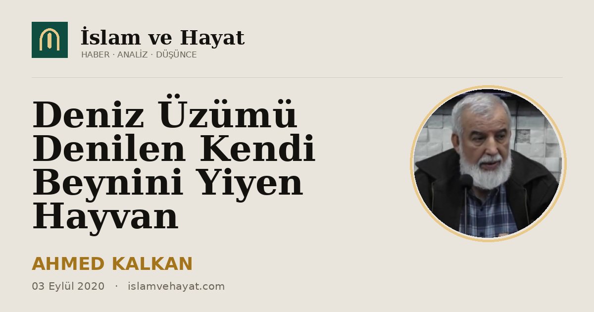 Deniz Üzümü Denilen Kendi Beynini Yiyen Hayvan