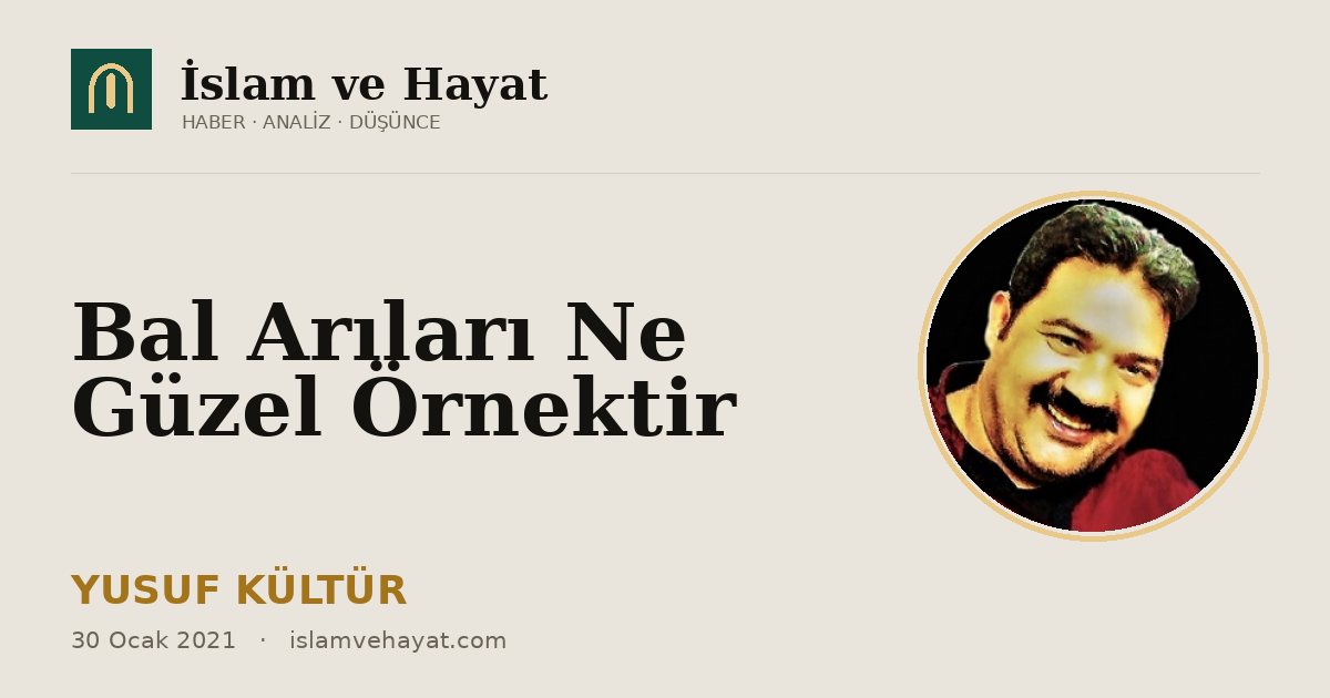 Bal Arıları Ne Güzel Örnektir