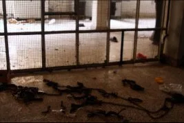 Suriye’deki durum Guantanamo’dan beter