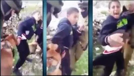 Siyonistlerden çocuğa köpekli saldırı