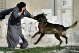 <STRONG>Filistinli kadına köpekli işkence</STRONG>&nbsp;