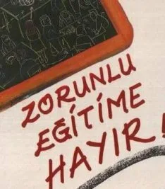 ABD’de Müslüman gençler evde öğrenimi tercih ediyor