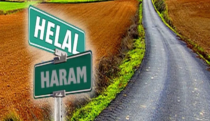 Haramı ve helali Rabbimiz olan Allah belirler