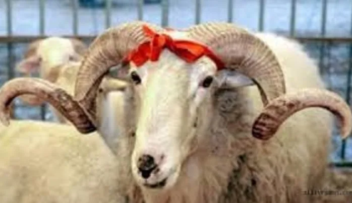 Kurban, yakınlaşmak, uzaklaşmak