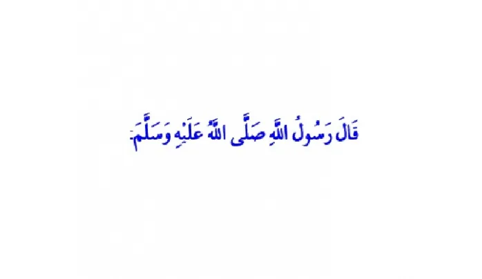 Hadis inkârcılığı
