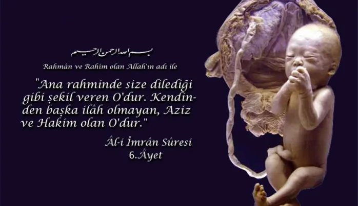 İnsan nasıl yaratıldı? İnsandan önce yaşam var mıydı? (VİDEO)