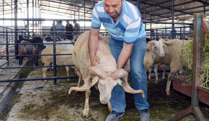 Kurban kesmek, insan psikolojisini nasıl etkiler?