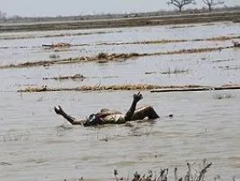 Burma’da (Myanmar) acı bilanço: 100 bin ölü