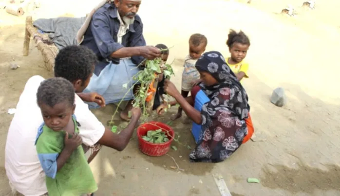 Yemenliler yaprak yiyerek hayatta kalmaya çalışıyor