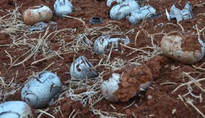 SNHR, Esed rejimi ve Rusya’nın misket bombası suçlarını yayınladı