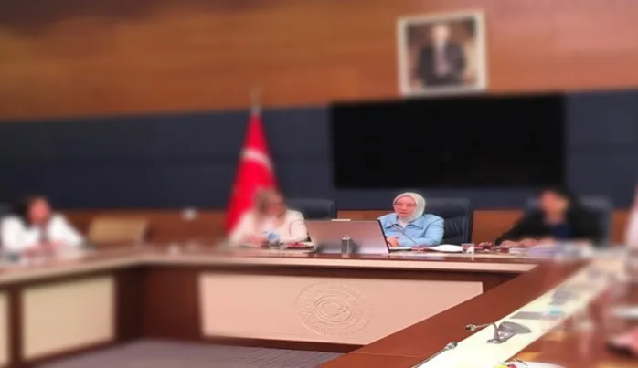 LGBT rezaletinin ardından tepki çeken toplantı: İstanbul Sözleşmesi Komisyonu toplandı
