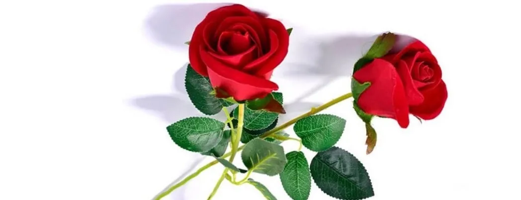 Aişe annemiz, Rasulullah’la evlendiğinde 18-19 yaşlarındaydı