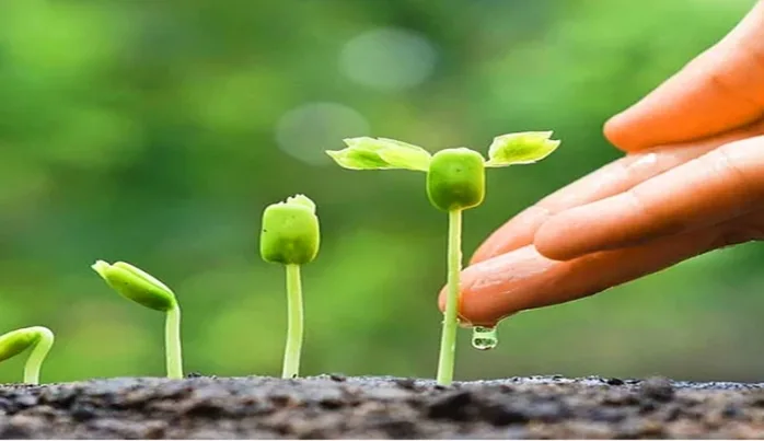 Nasıl bir eğitim sistemi: Nasıl bir insan?