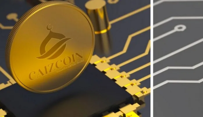 “Caizcoin” ile, sütleri sağılıp yünleri kırpılacak koyunlar aranıyor!