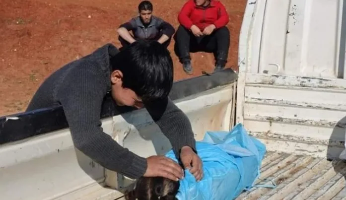 İşgal işbirlikçisi Esed diktası, İdlib ve Halep kırsalında 6 mazlumu daha katletti