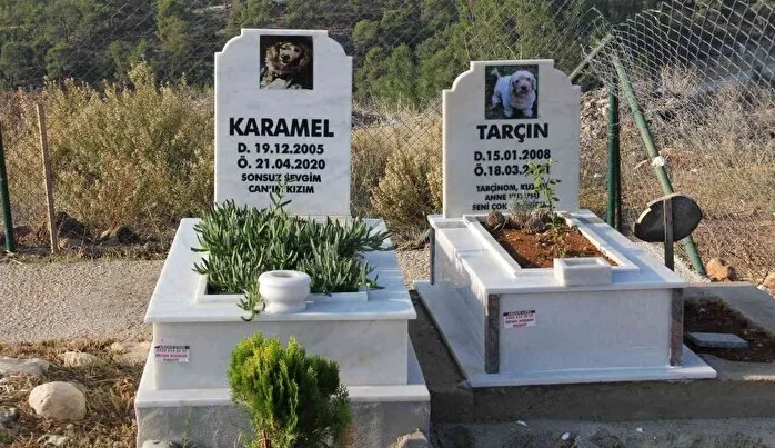 Modern İnsan, Biz Müslümanlar ve “Hayvan Hakları”