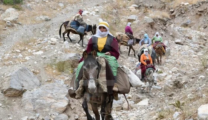 Kürdinsanı Kazanmak
