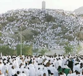 Hacc için buluşan Müslümanlar, Arafat’ta